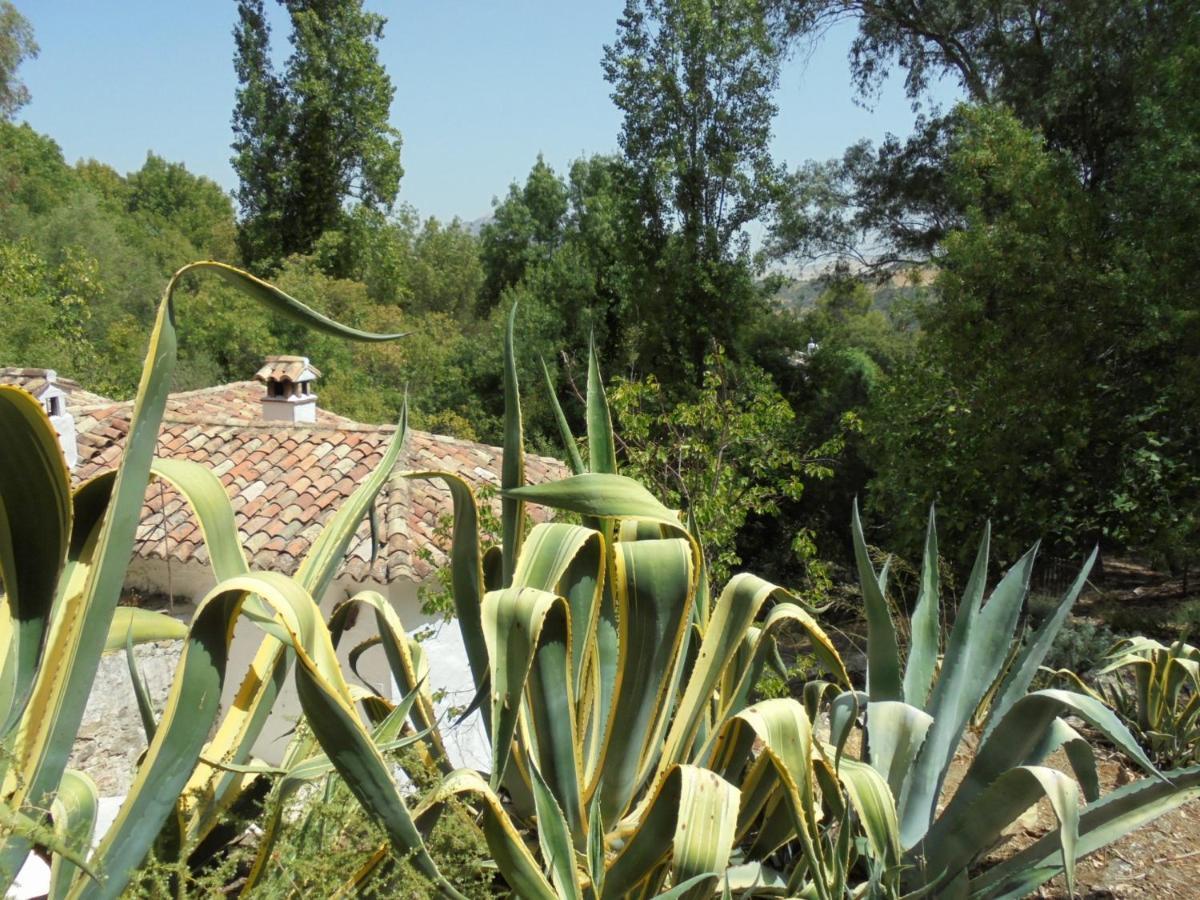 El Pastor Villa Grazalema Exteriör bild