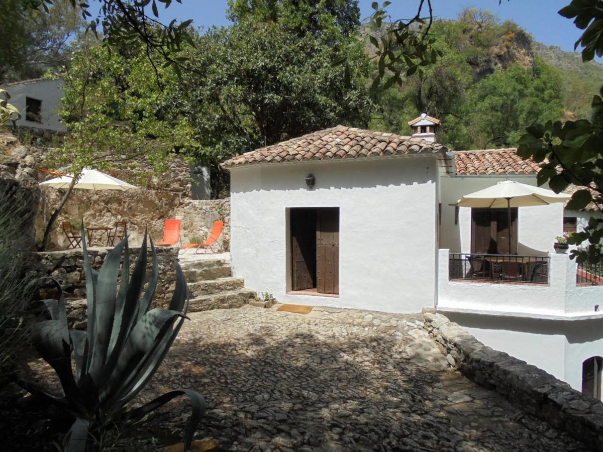 El Pastor Villa Grazalema Exteriör bild