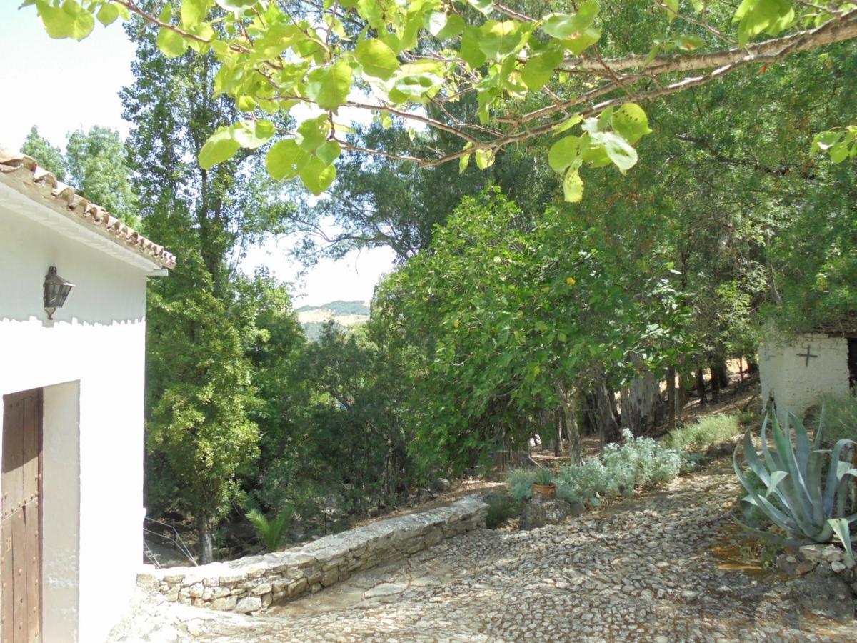 El Pastor Villa Grazalema Exteriör bild